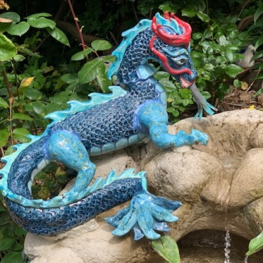 Water Dragon for Kidneys